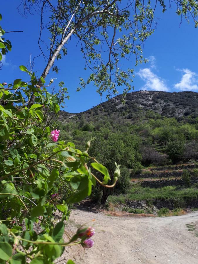 Agrompelo House Βίλα Αγρός Εξωτερικό φωτογραφία