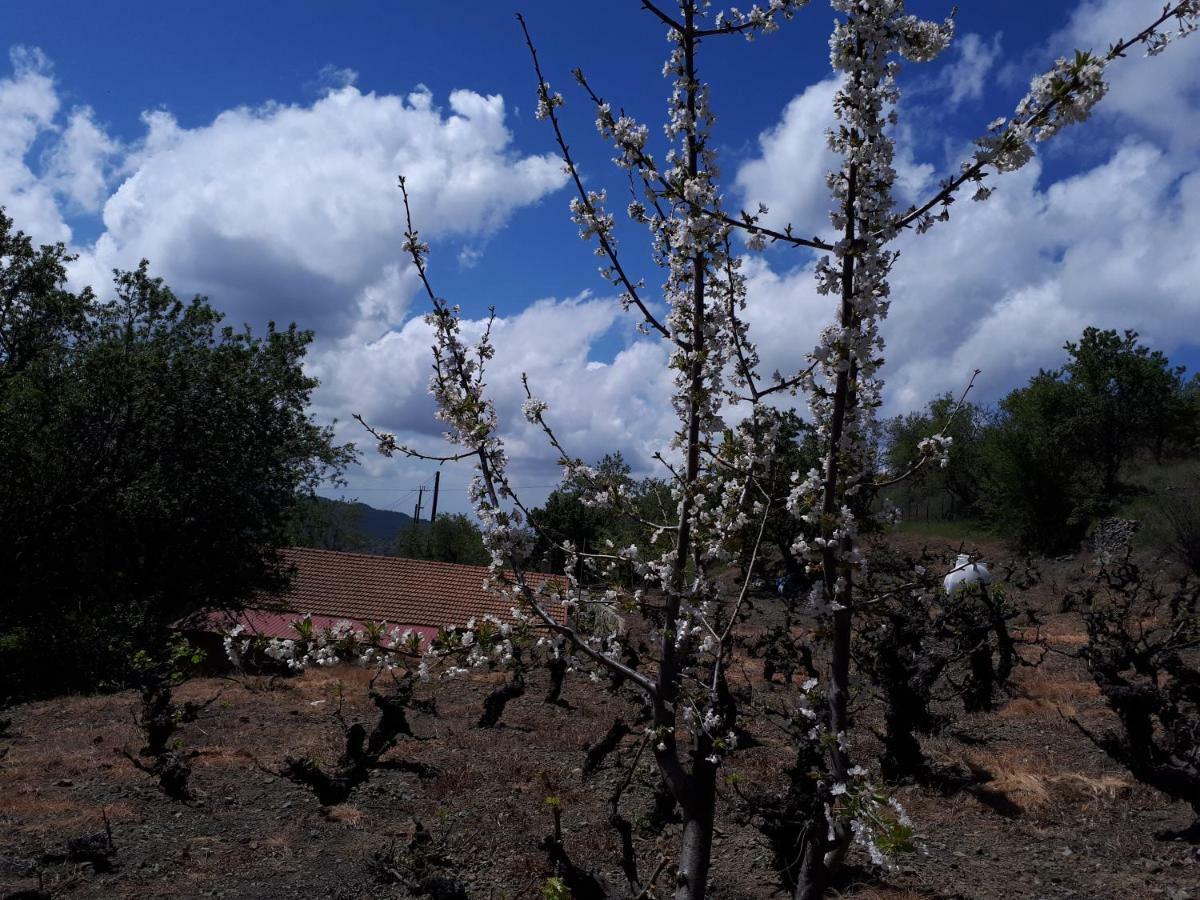 Agrompelo House Βίλα Αγρός Εξωτερικό φωτογραφία